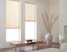 Pleated Blinds